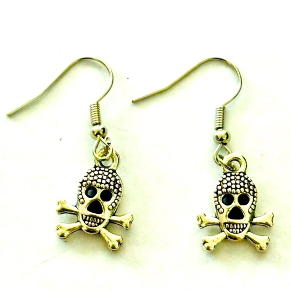 Skull and Crossbones Stainless Steel Earrings, NWT, Unworn
